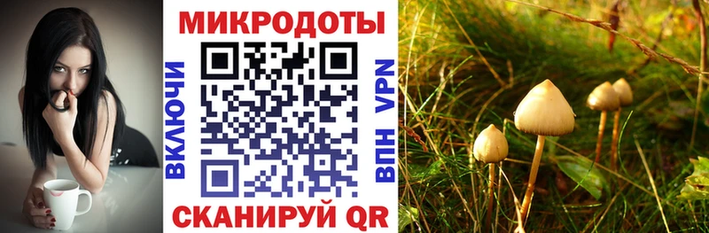 закладка  сайты даркнета телеграм  Галлюциногенные грибы MAGIC MUSHROOMS  Березники 